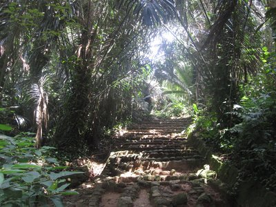 Botanical Gardens Karibu Accommodation Entebbe Uganda